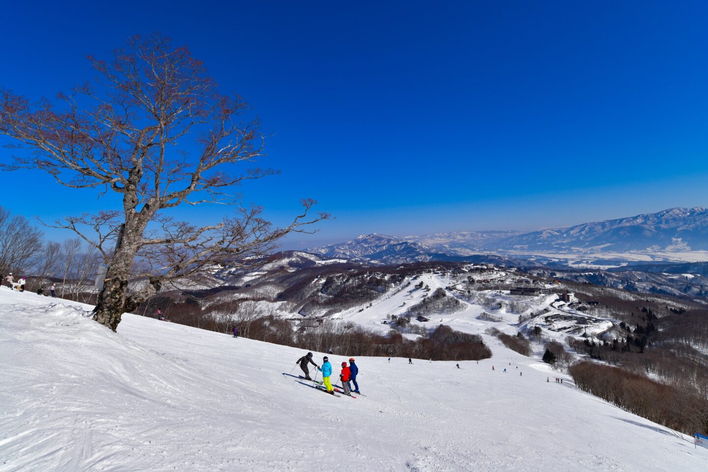 Iizuna Kogen Ski Resort Enjoy a Family Trip with Great Deals