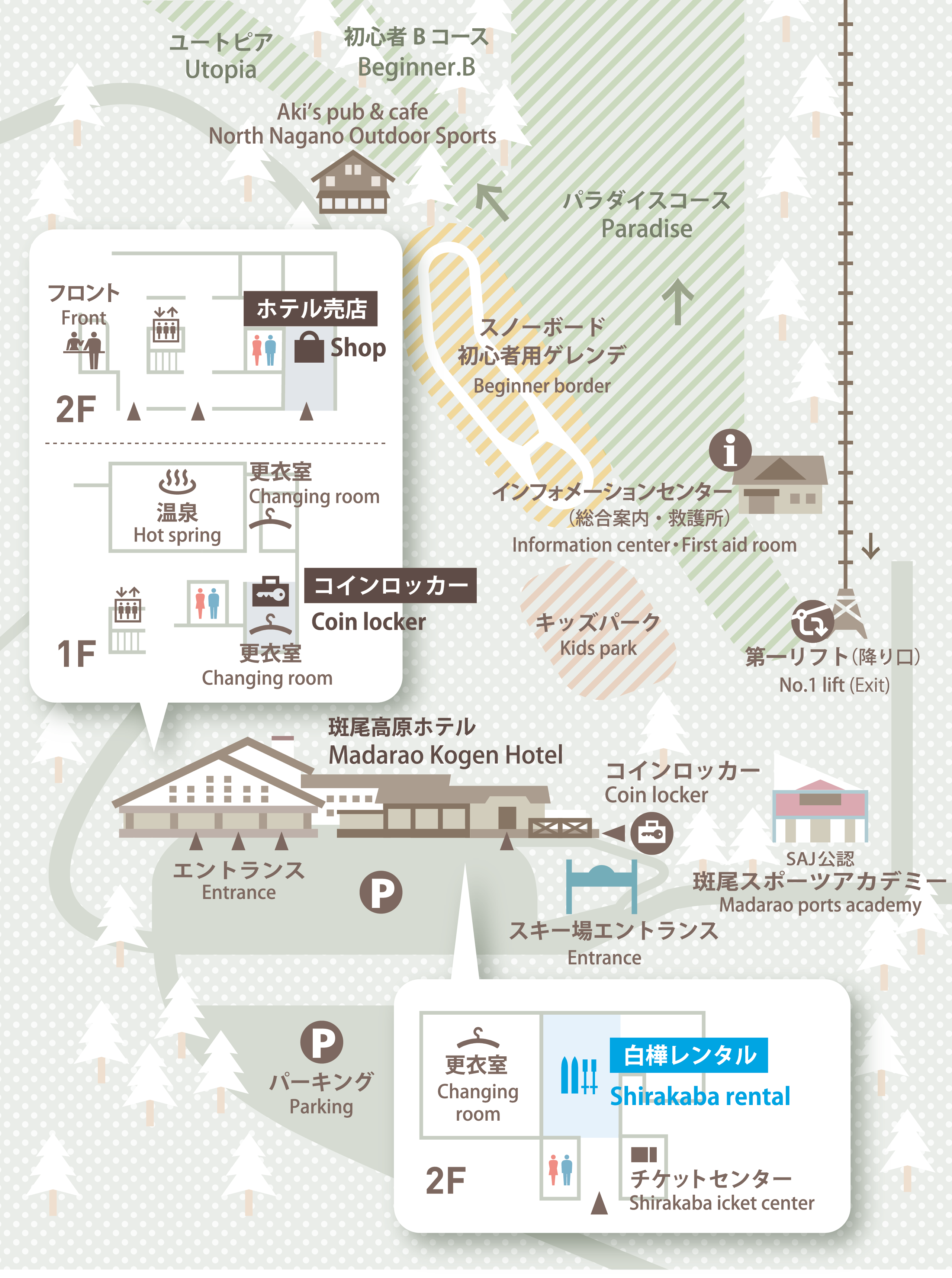白樺レンタル【斑尾高原スキー場公式】長野県天然雪100％のスキー場