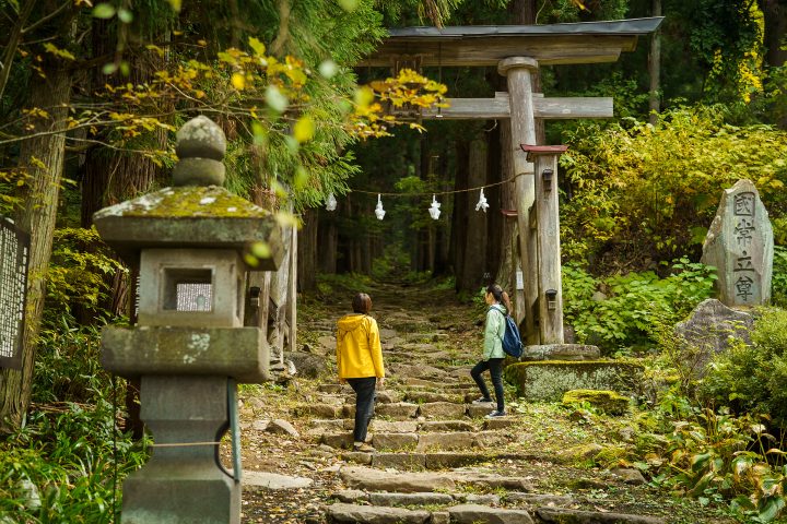 小菅神社参道