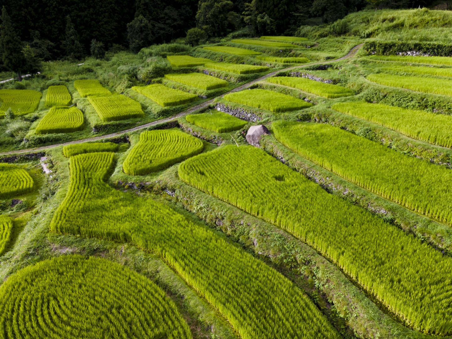 福島棚田