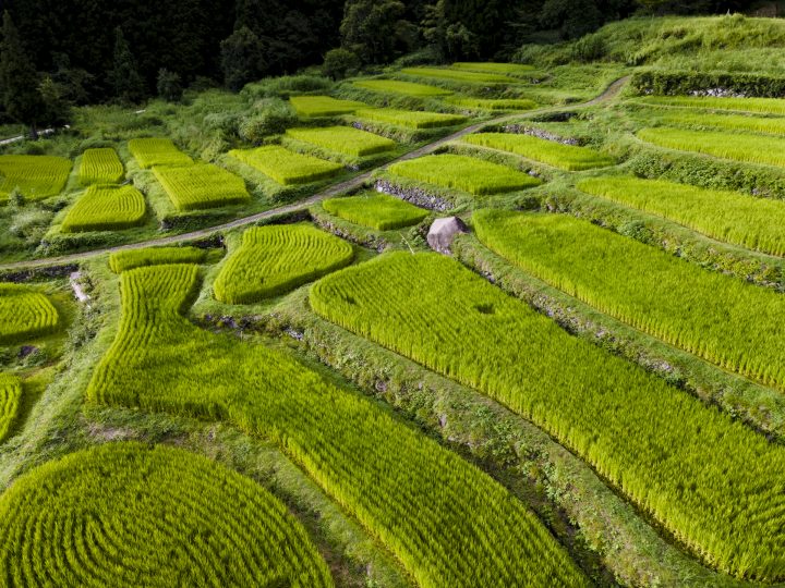 福島棚田